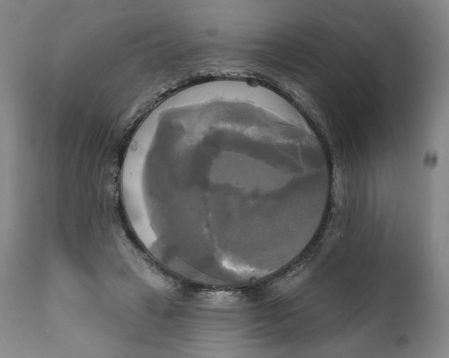 X0000111220449200907161256