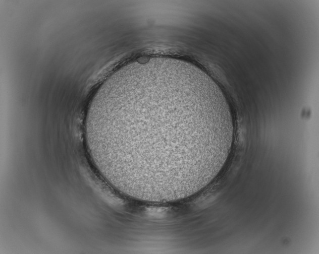 X0000111220450200907161256