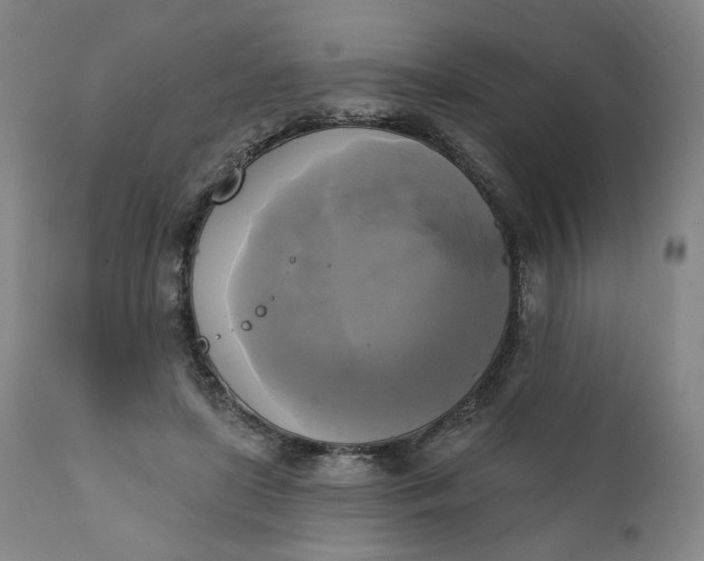 X0000111220451200907161256