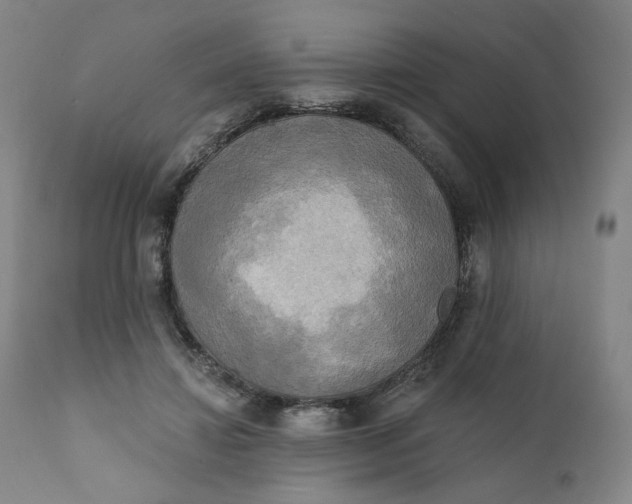 X0000111220452200907161256