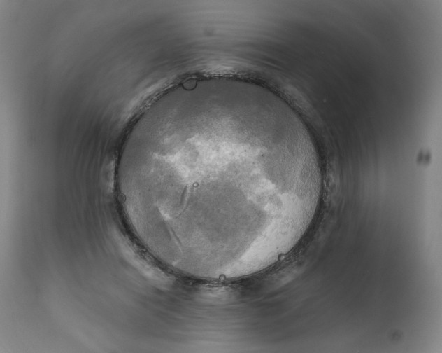 X0000111220454200907161256