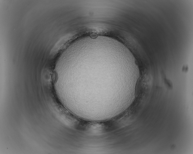 X0000111220456200907161256