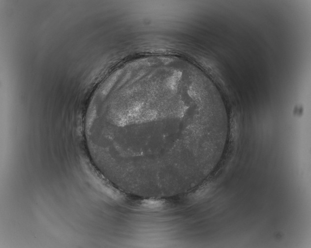 X0000111220457200907161256