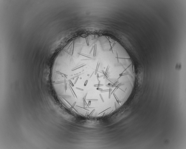 X0000111220458200907161256