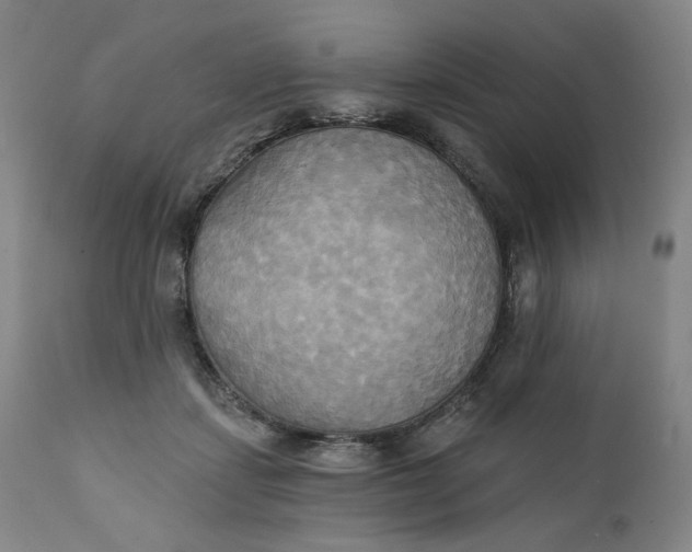 X0000111220459200907161256