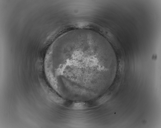 X0000111220461200907161256