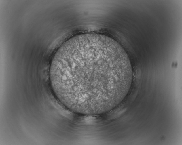 X0000111220462200907161256