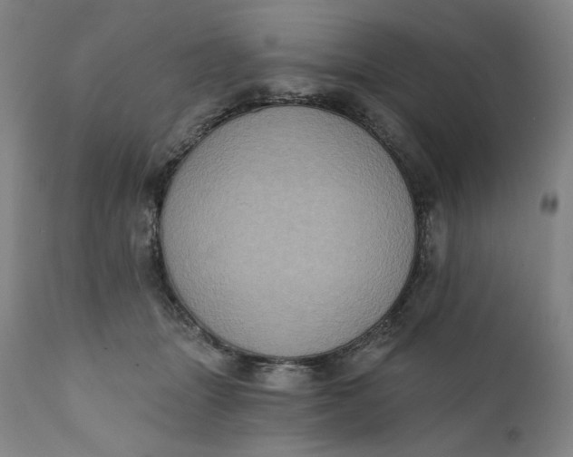 X0000111220463200907161256