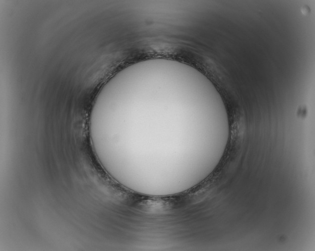 X0000111220464200907161256