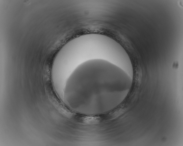 X0000111220465200907161256