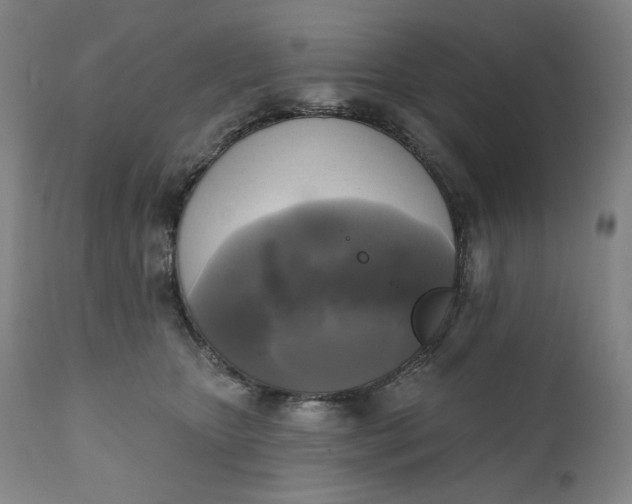 X0000111220467200907161256