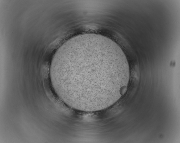 X0000111220468200907161256