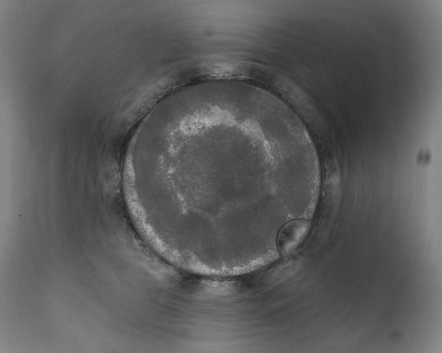 X0000111220469200907161256