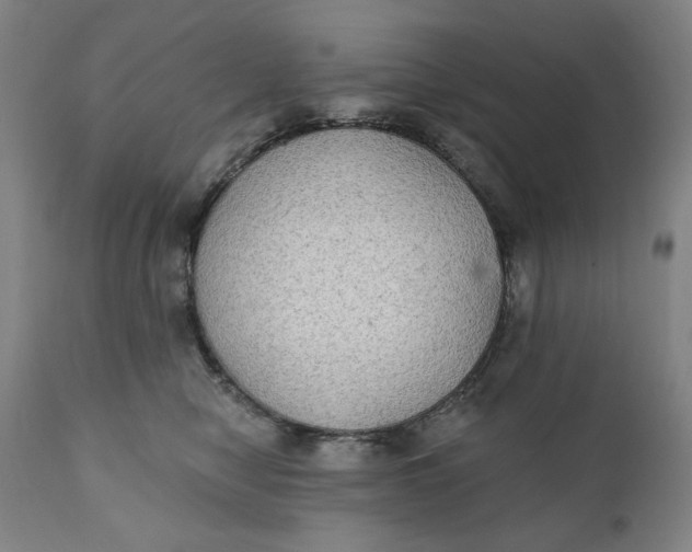 X0000111220470200907161256