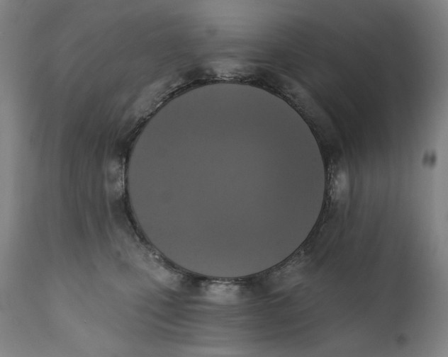 X0000111220471200907161256