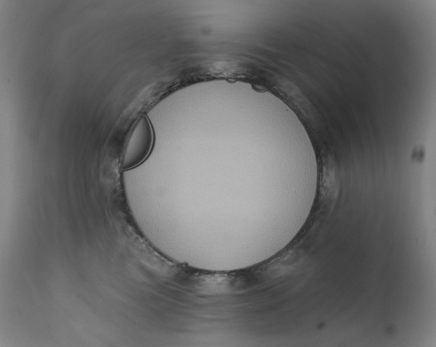 X0000111220473200907161256