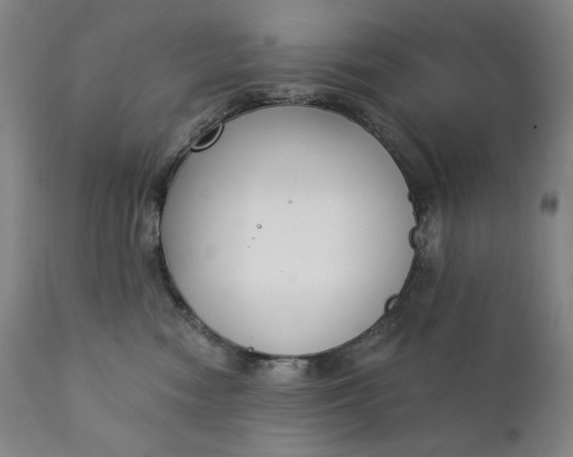 X0000111220474200907161256