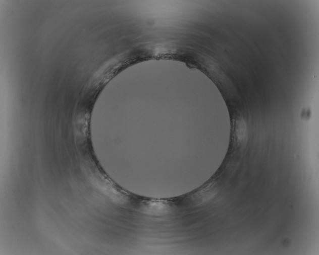 X0000111220475200907161256