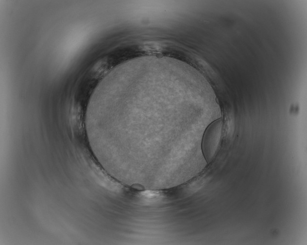 X0000111220477200907161256