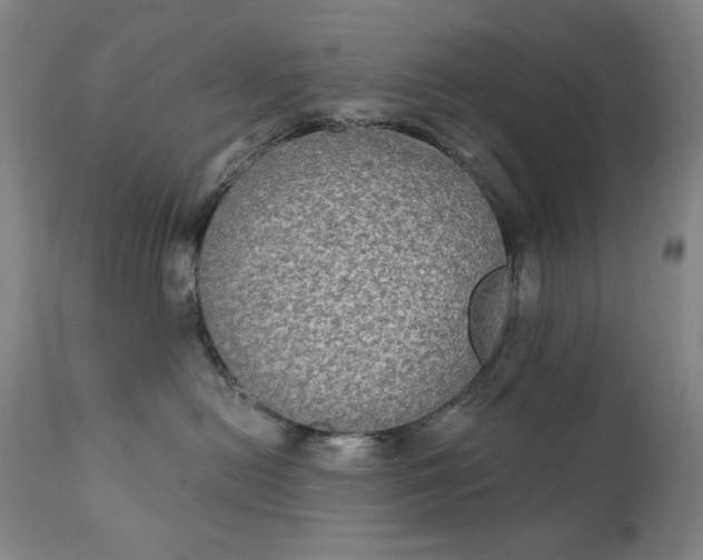 X0000111220478200907161256