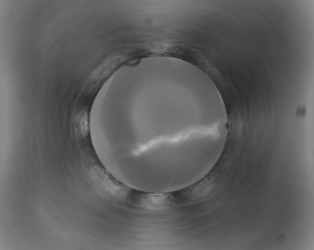 X0000111220479200907161256