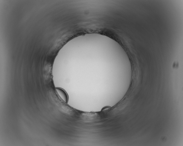 X0000111220480200907161256