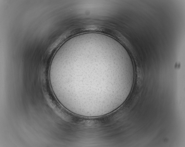 X0000111220482200907161255