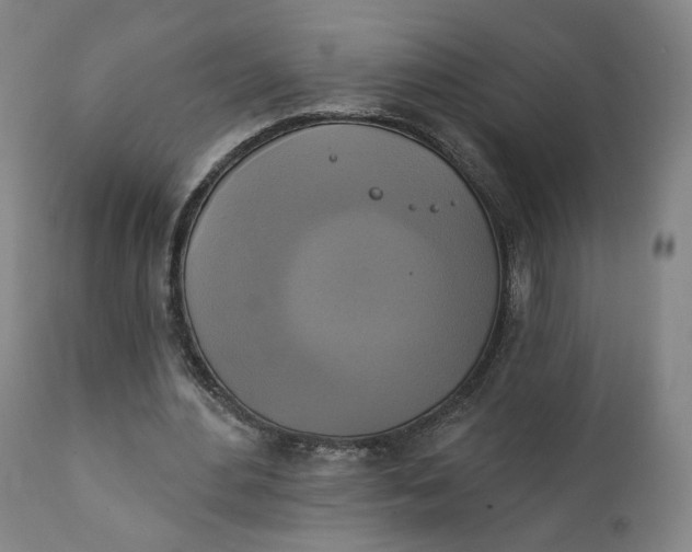 X0000111220484200907161255