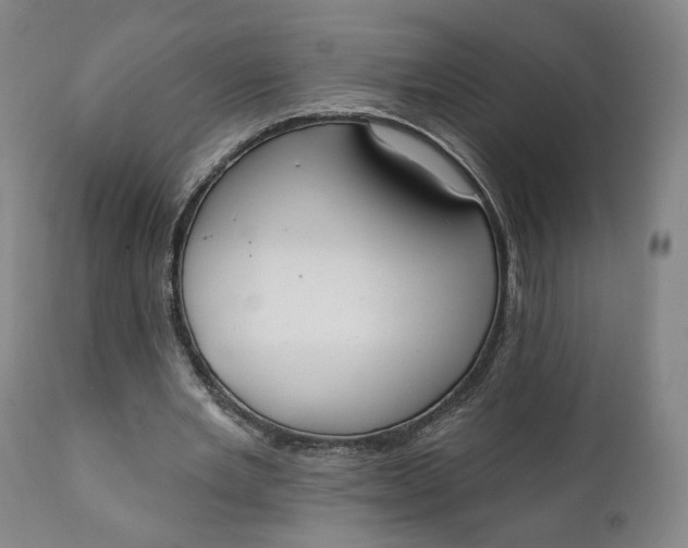X0000111220485200907161255
