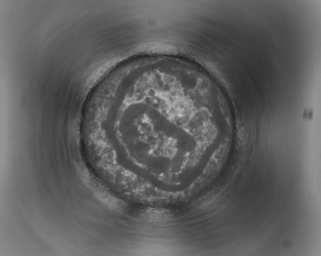 X0000111220487200907161255