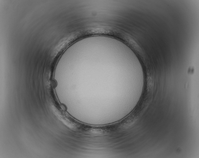 X0000111220490200907161255