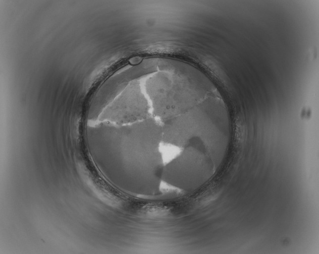 X0000111220491200907161255
