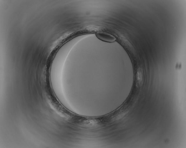 X0000111220492200907161255