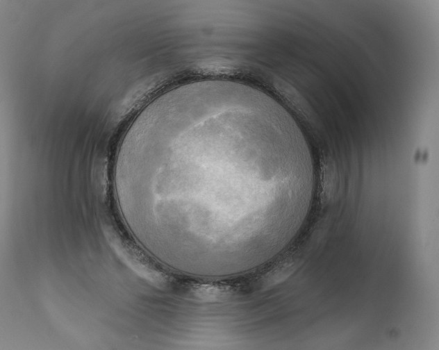 X0000111220494200907161255
