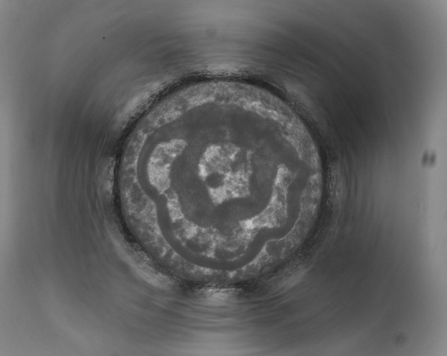 X0000111220495200907161255