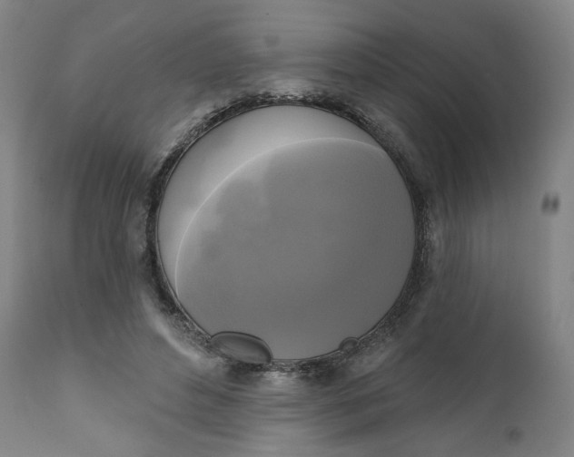 X0000111220496200907161255