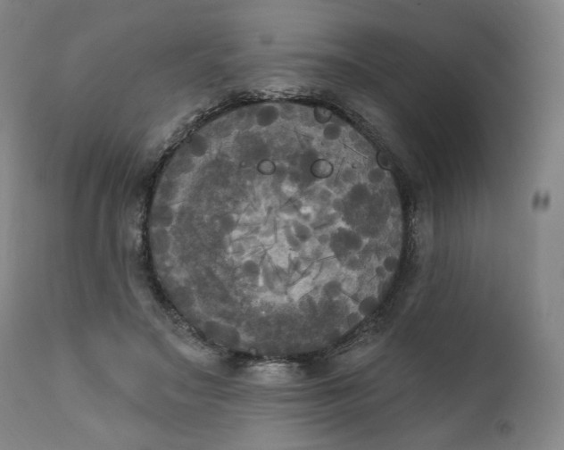 X0000111220499200907161255