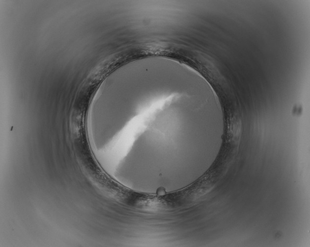 X0000111220503200907161255