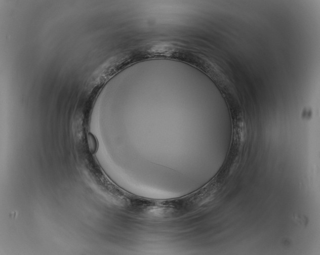 X0000111220504200907161255