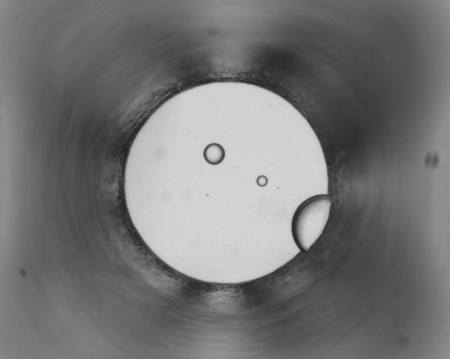 X0000111220505200907161255
