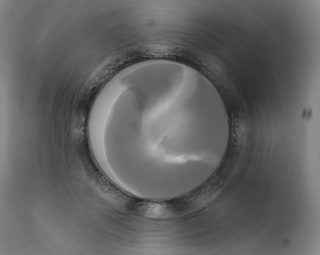 X0000111220507200907161255