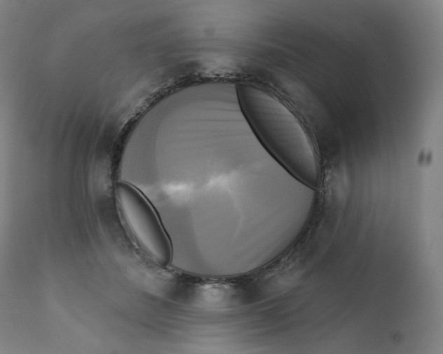 X0000111220508200907161255