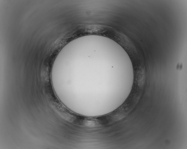 X0000111220510200907161255