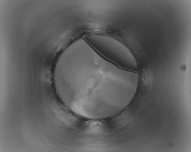 X0000111220512200907161255