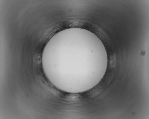 X0000111220514200907161255