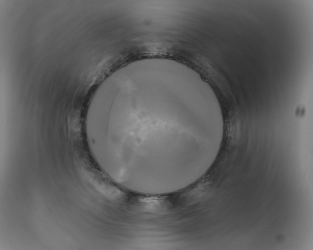 X0000111220516200907161255