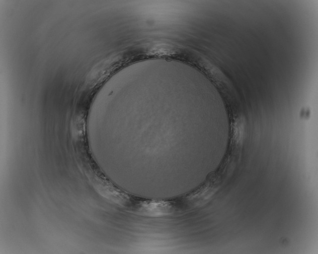 X0000111220517200907161255