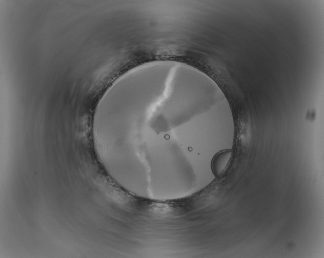 X0000111220519200907161255