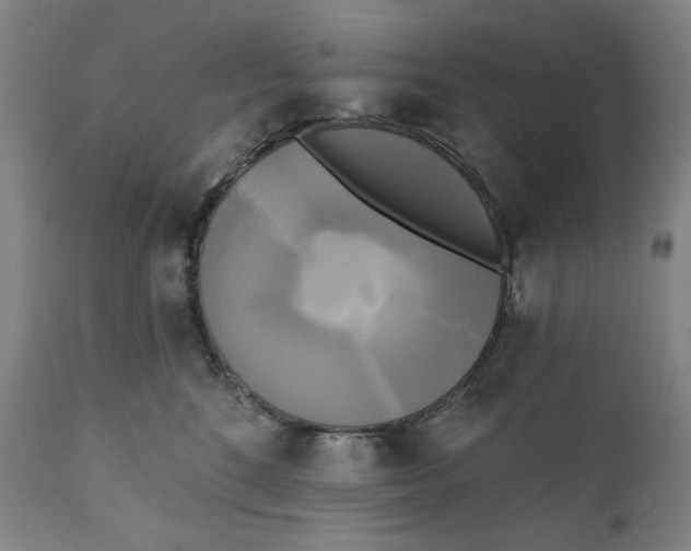 X0000111220520200907161255