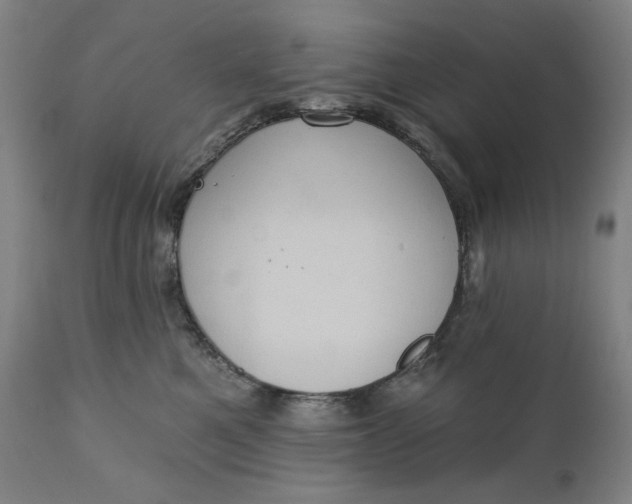 X0000111220521200907161255